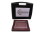 Quadro-con-Microcamera