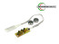 Microspia SKT008