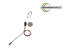 Microspia SKT001