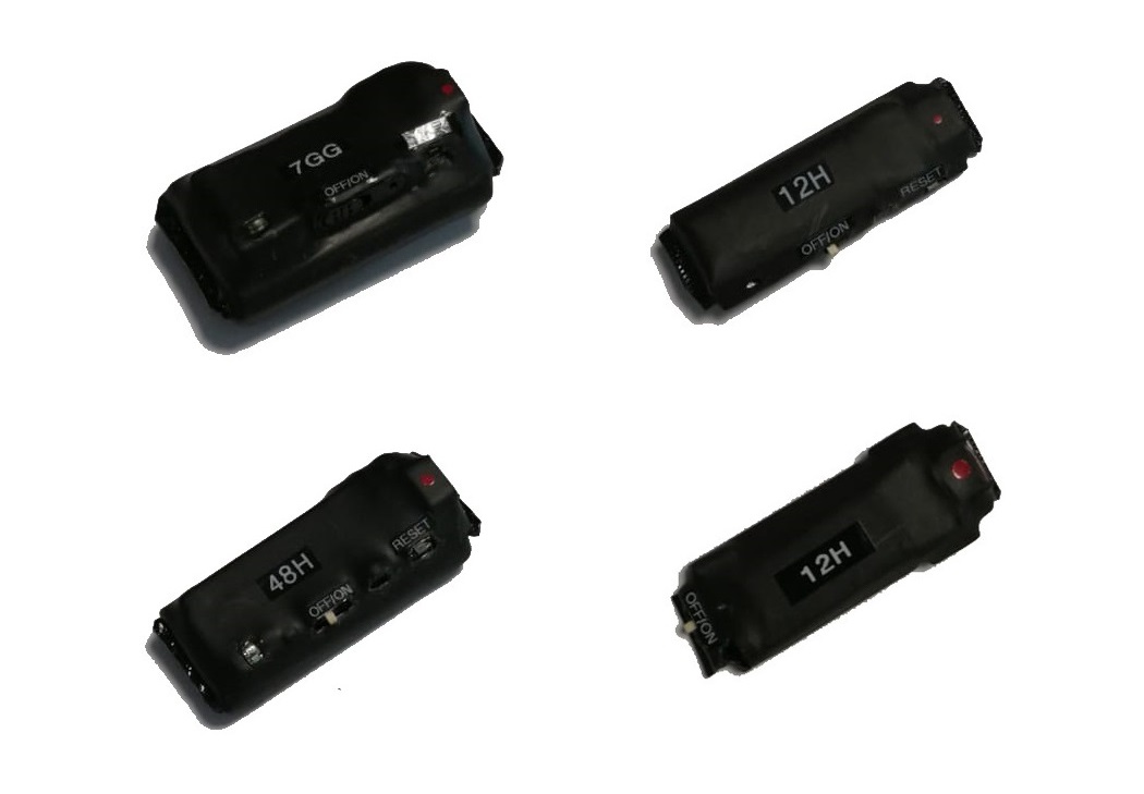 diversi modelli di registratori vocali nascosti